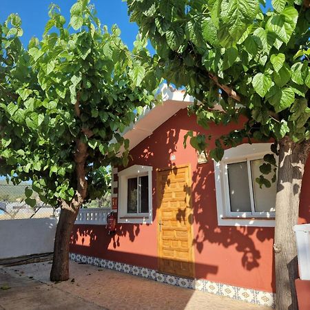 Camping Los Pinos Peñíscola المظهر الخارجي الصورة