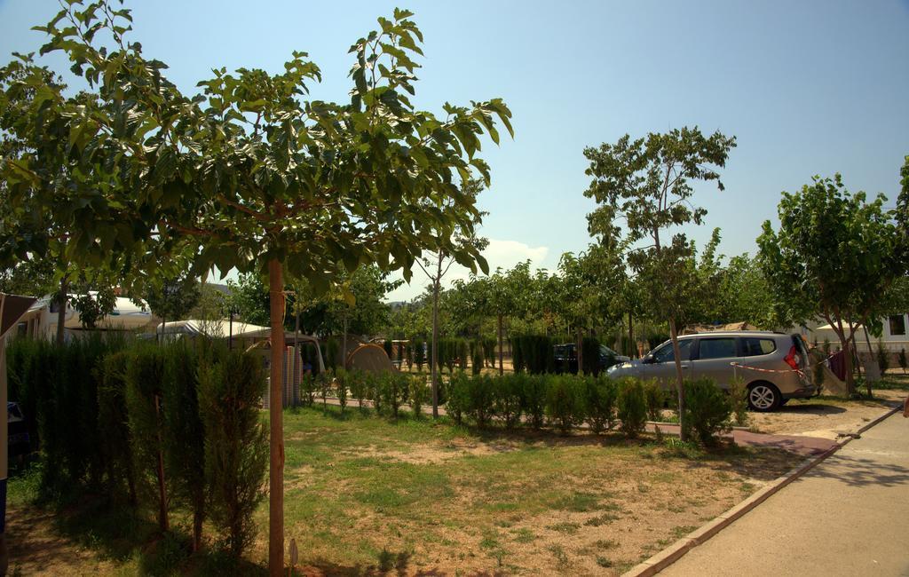 Camping Los Pinos Peñíscola المظهر الخارجي الصورة