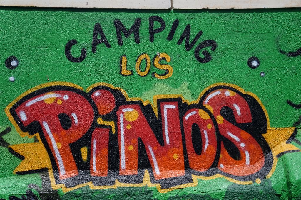 Camping Los Pinos Peñíscola المظهر الخارجي الصورة